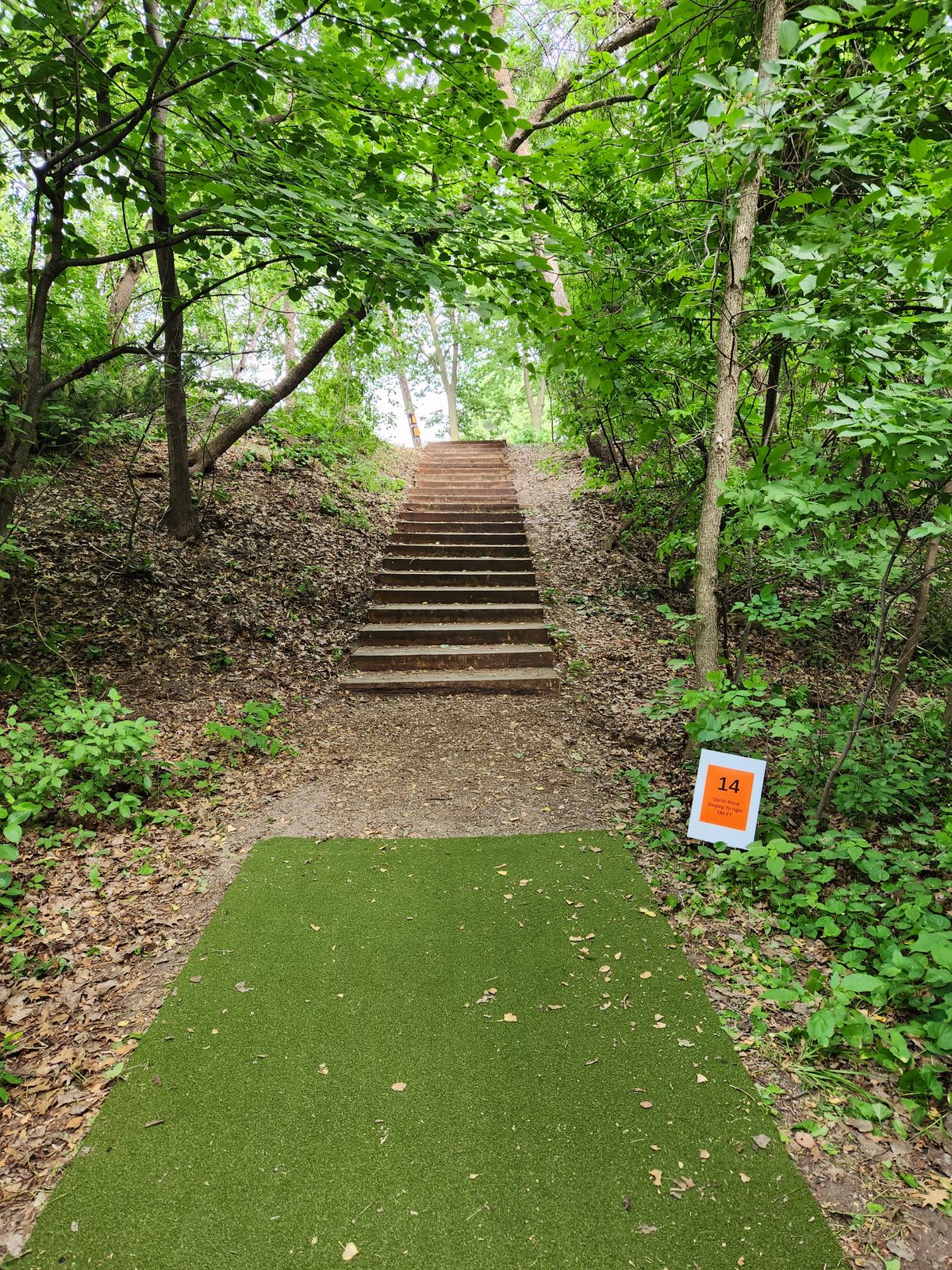 Hole 14 new teebox