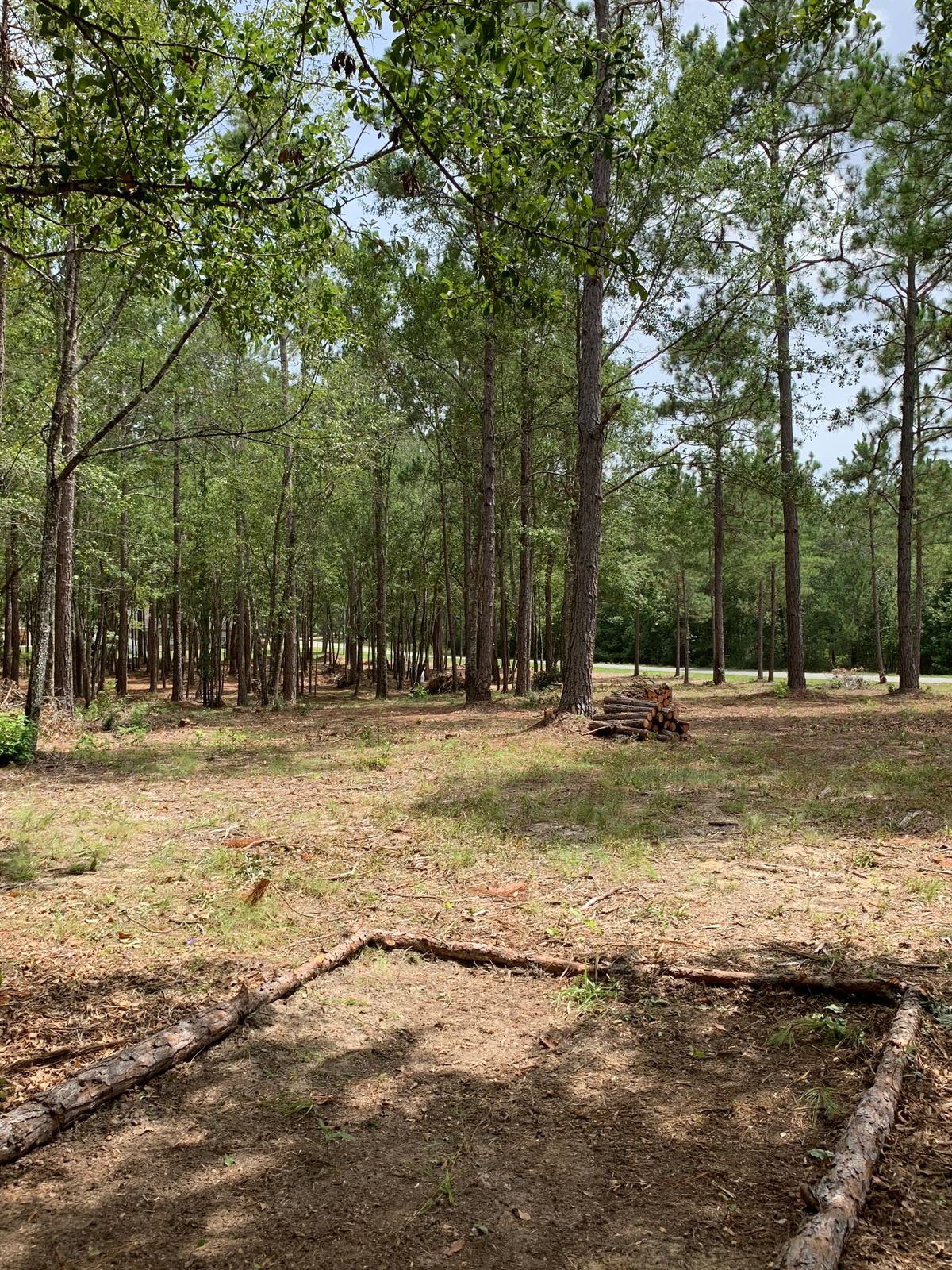 Tee pad used for holes 3, 10, & 12