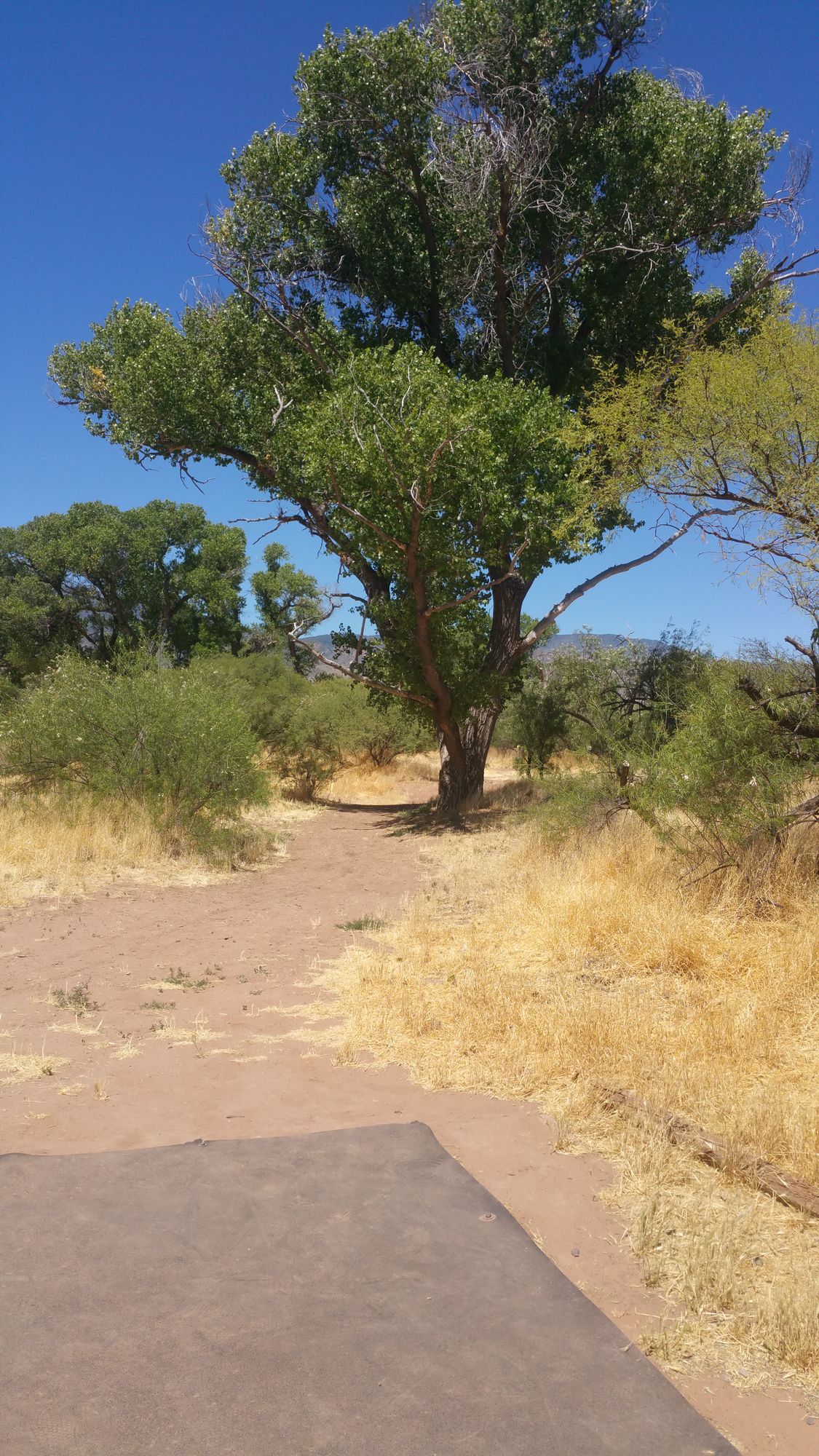 Looking down the fairway from the tee pad for Hole 4