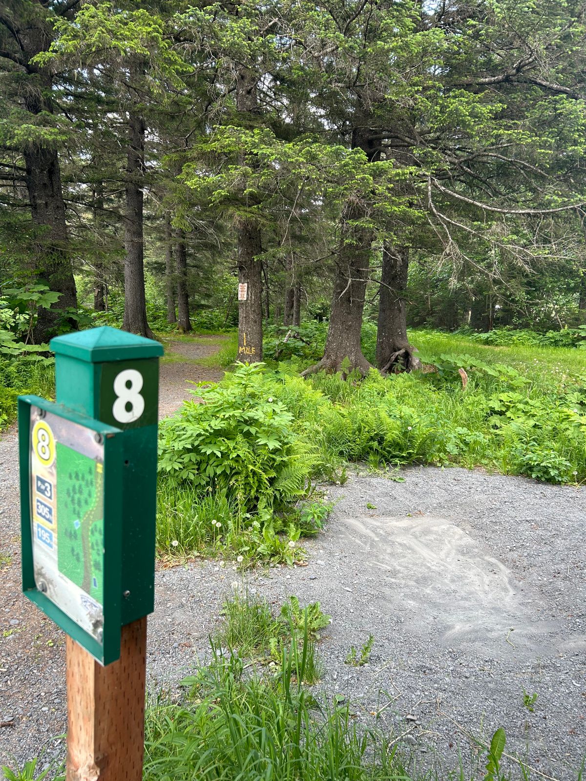 Hole 8 teepad and fairway, an odd teepad placement, but a fun tunnel nonetheless
