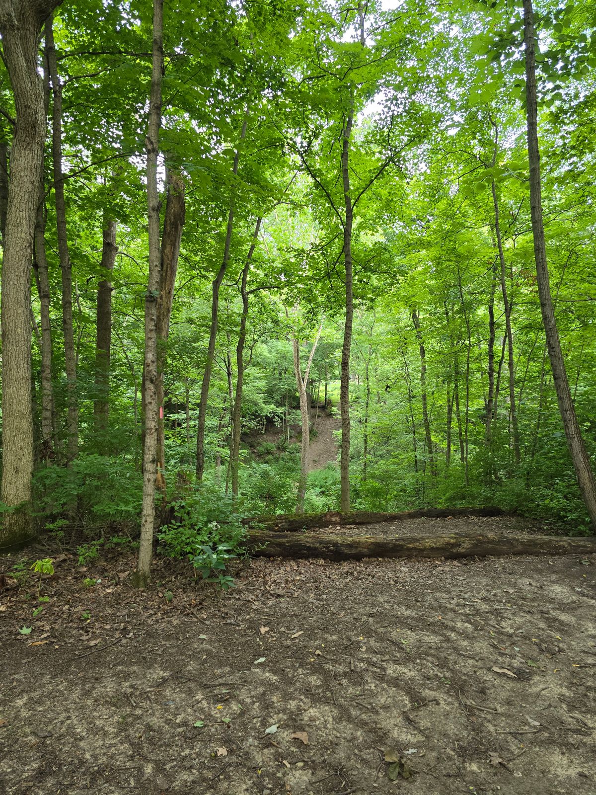 Hole 15 tee shot