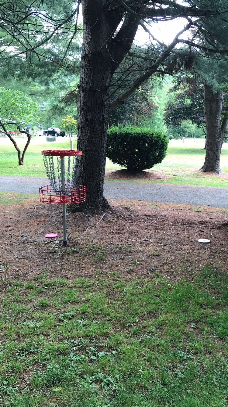 Hole 7 basket