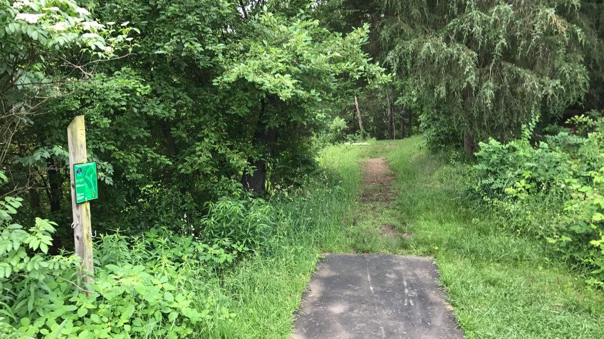 Hole 6