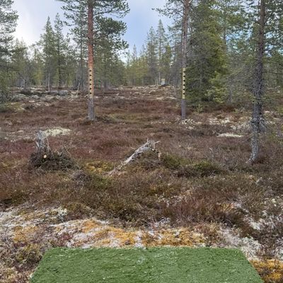 Course photo