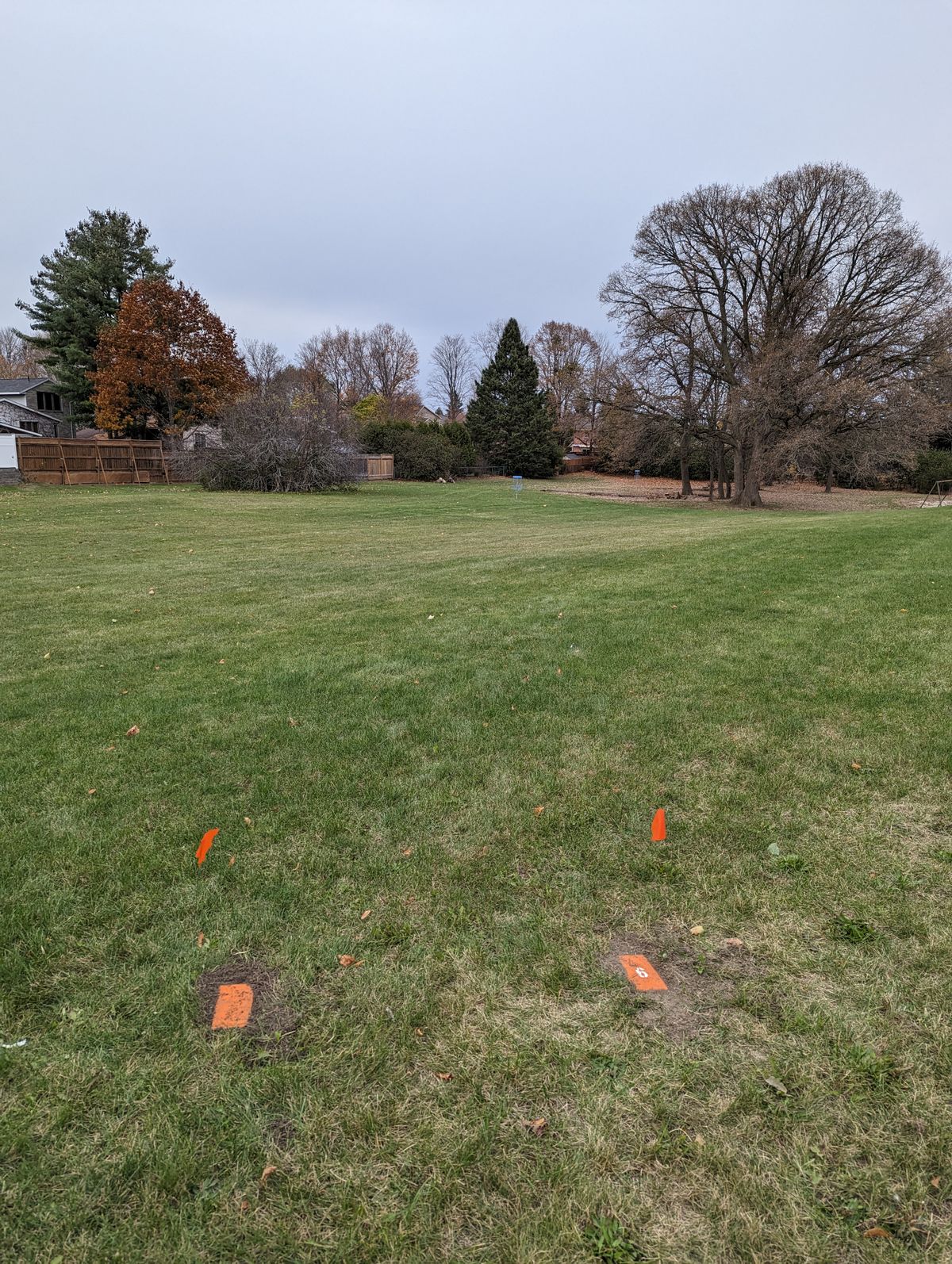 tee 1