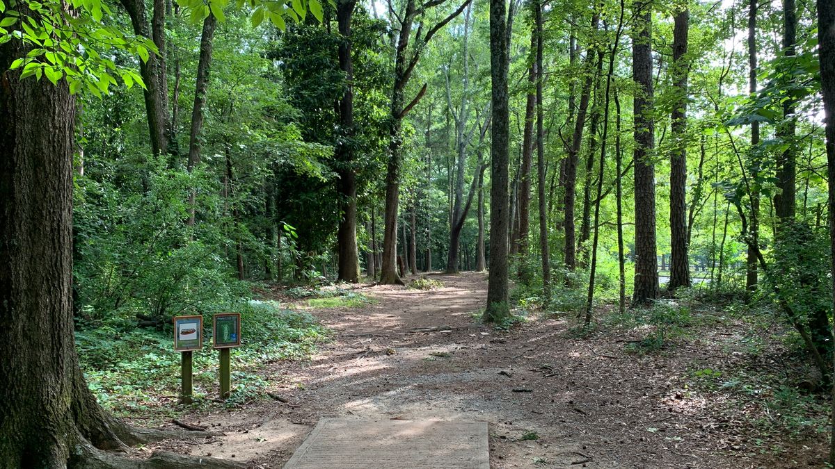 Hole 4