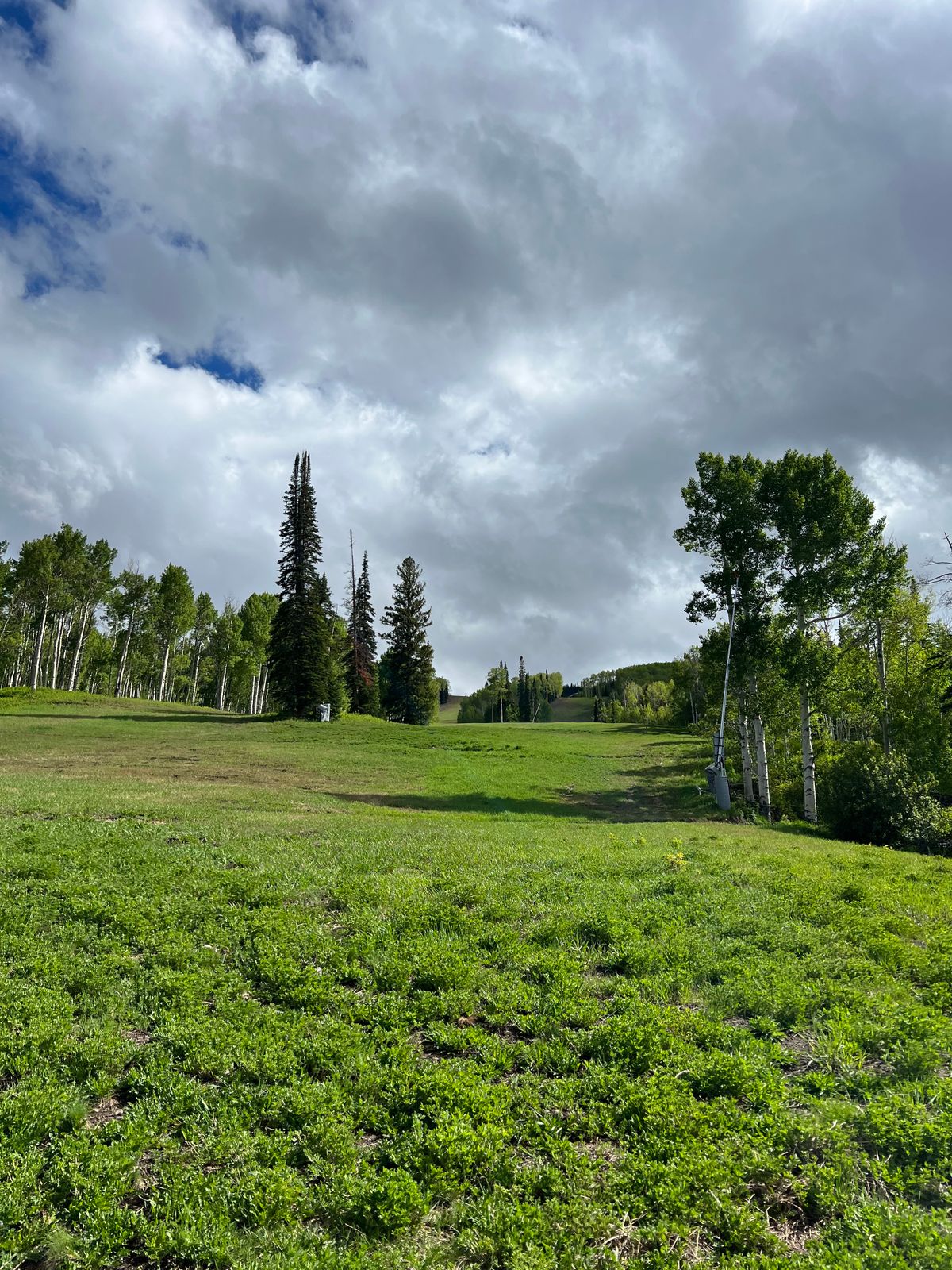 The walk to hole 1