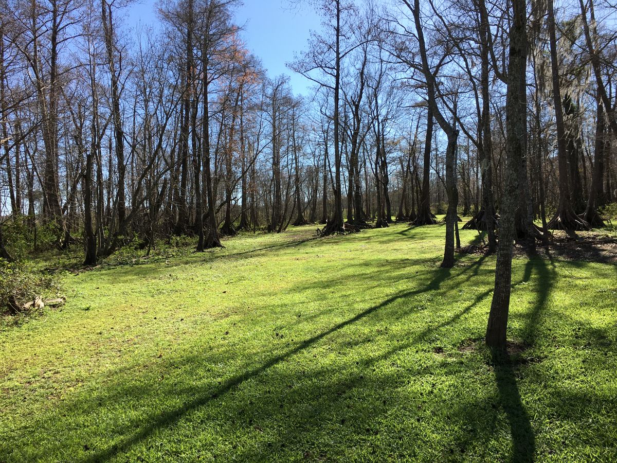 Hole 11 Red Tee
