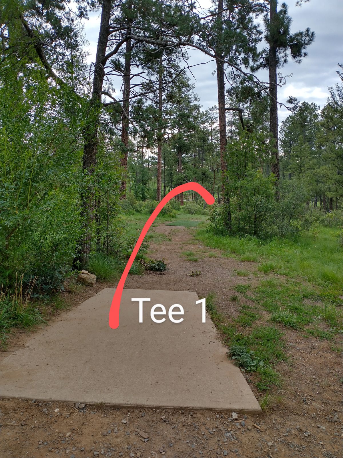 Tee 1, Basket is over the hill.