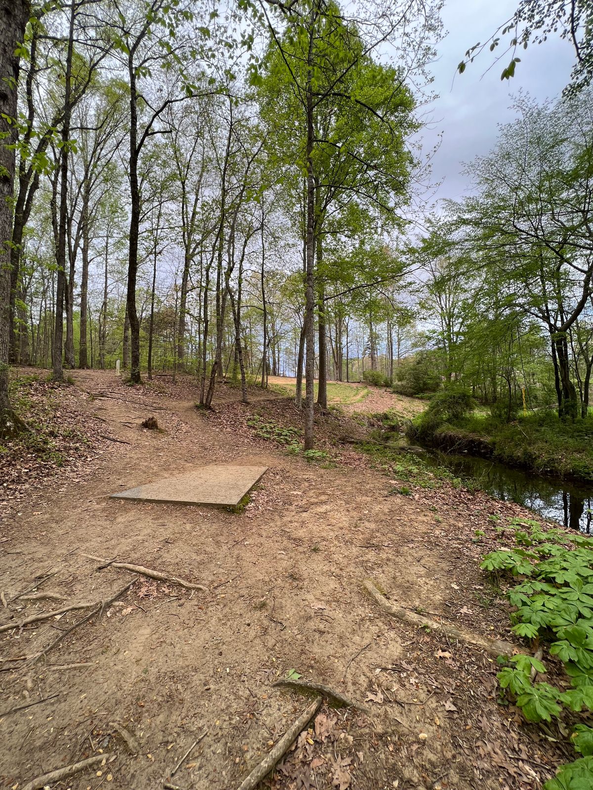 Hole 12 Blue Tee
