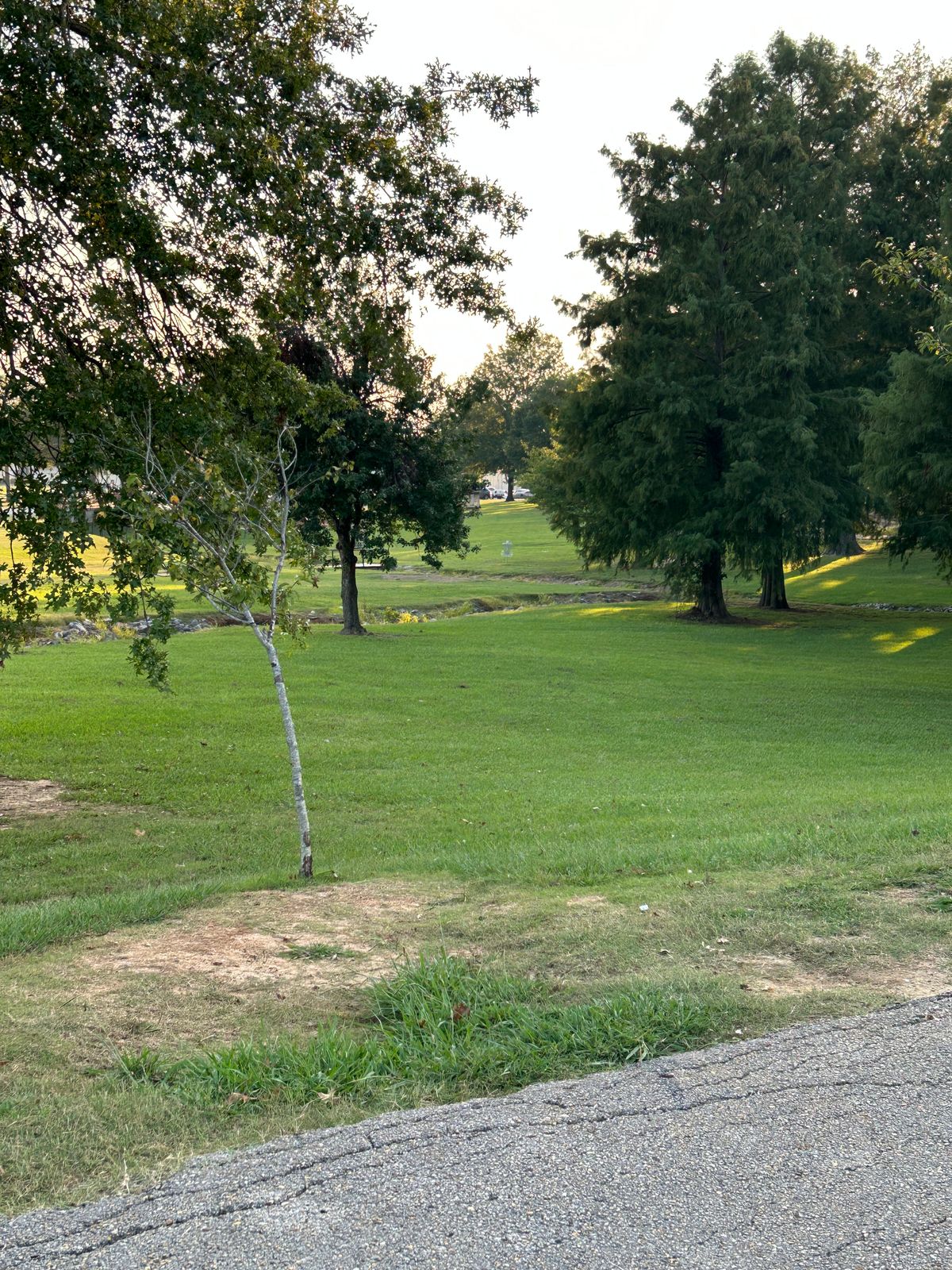 Hole 15 no clear tee or signage. Near the pond throws downhill to the left pin from #13 picture