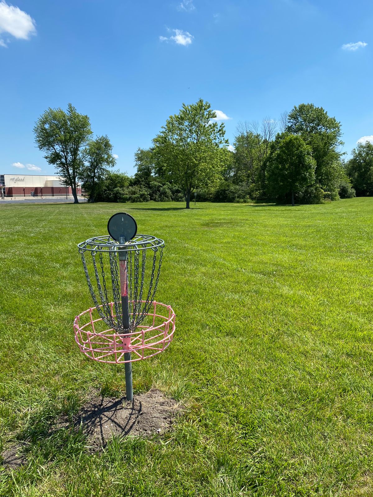 Hole 15 (Reverse)