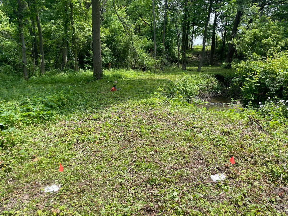Hole 6 white tee