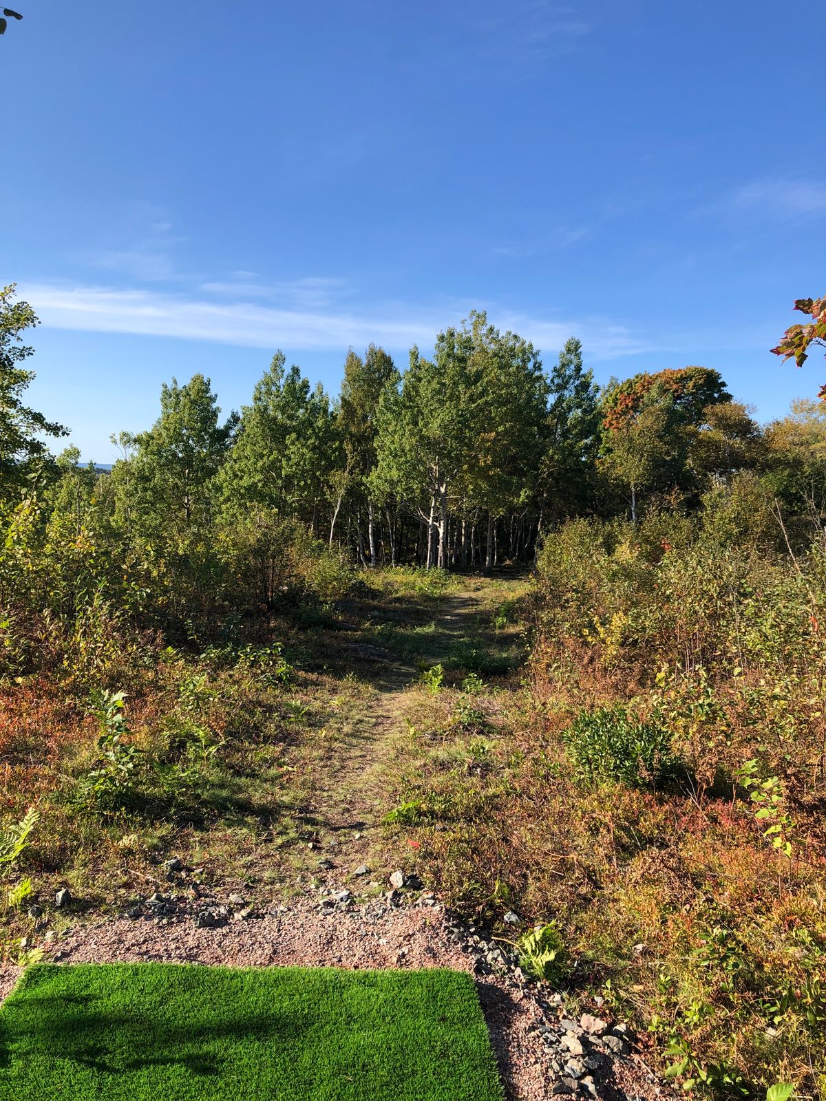 Tee pad hole 14 Oct 7 21