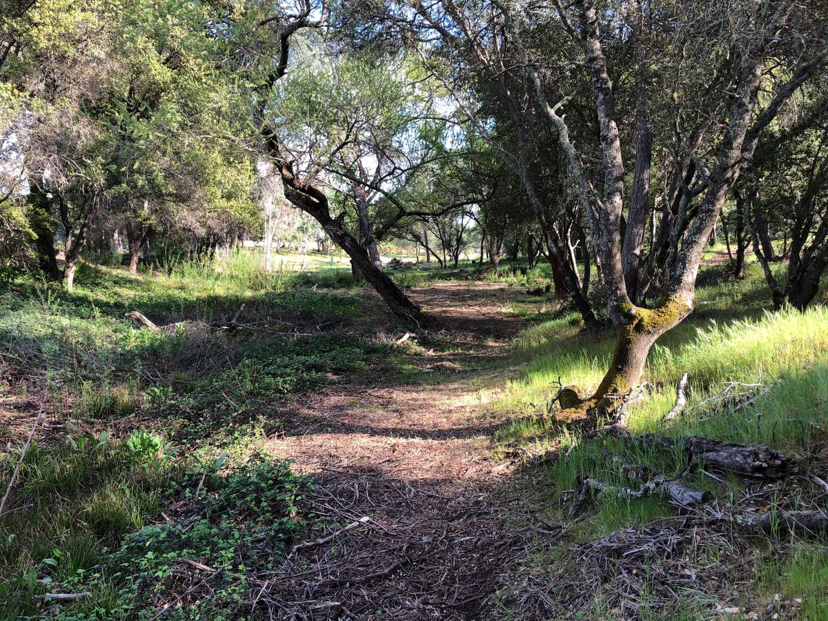 Hole 7 Dragons Gut