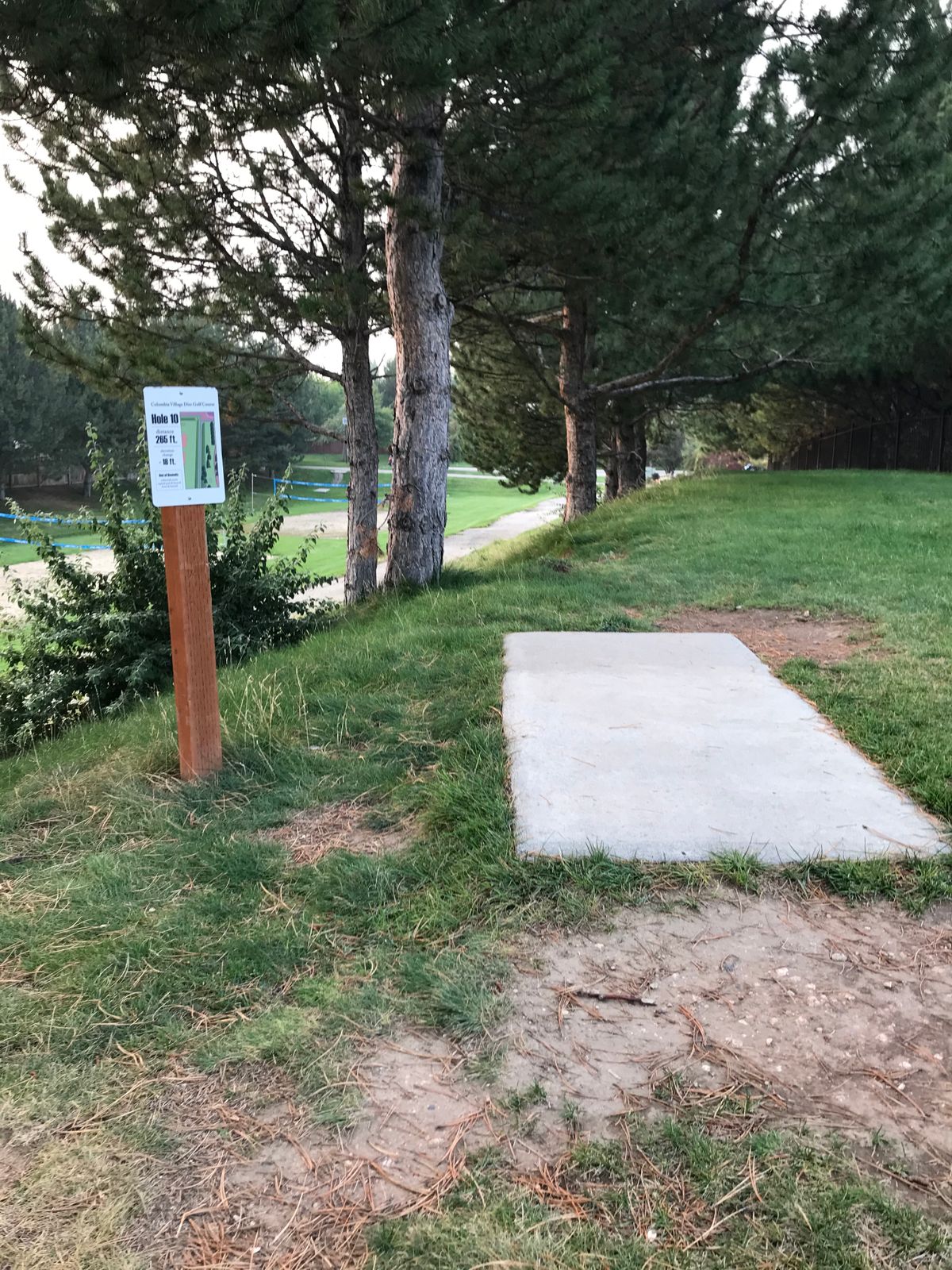 Hole 10: Basket is down and to the right of the path