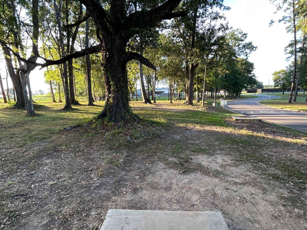 Hole 17 Fairway (Red)