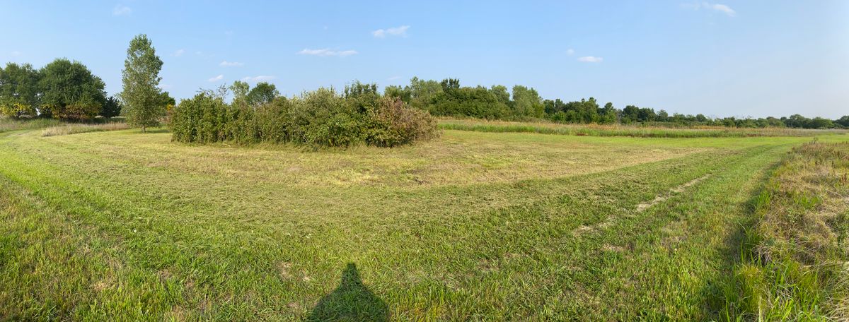 Hole 4 expansion 8/2021