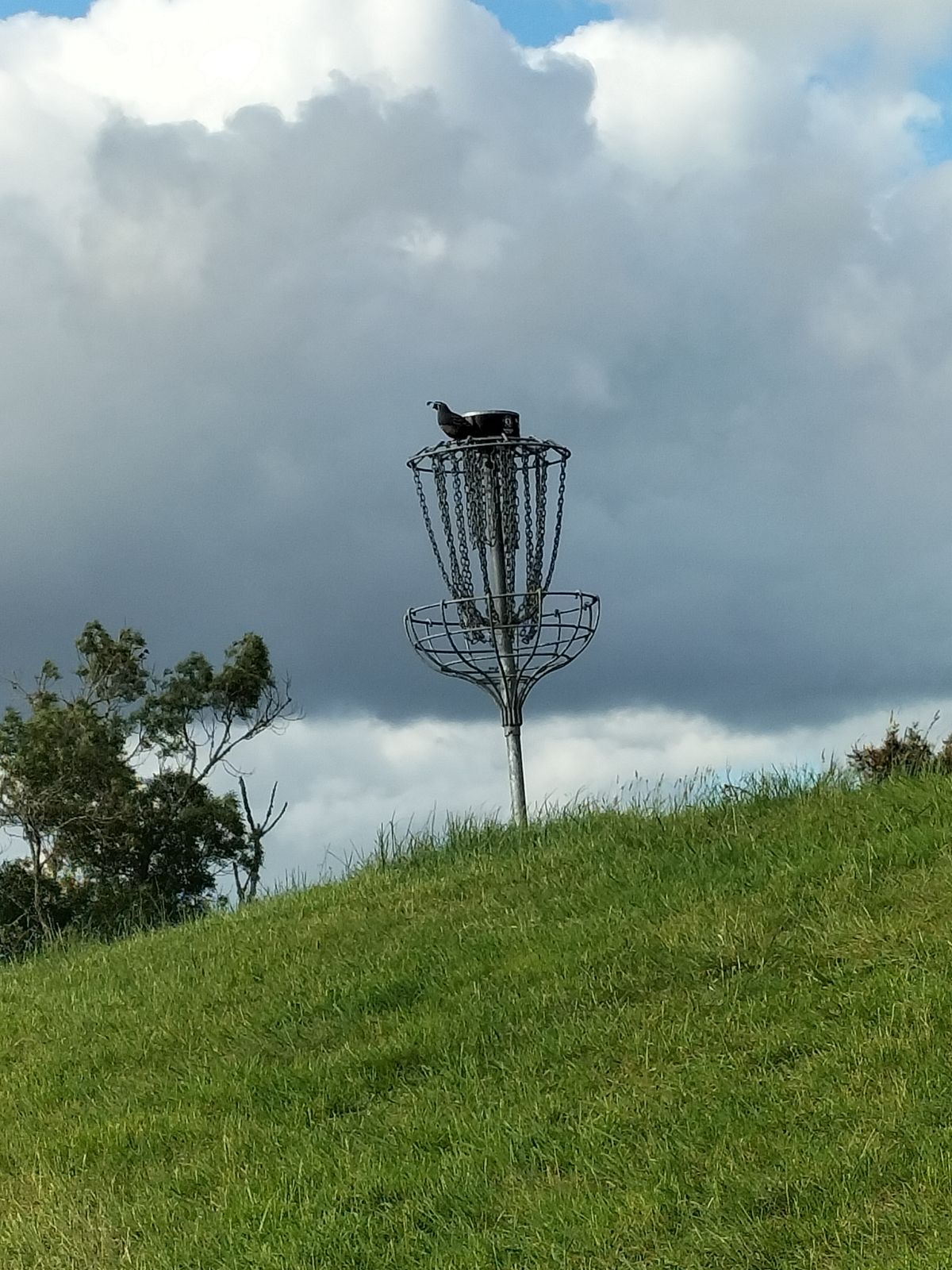 He's the king of the castle today Hole 4 basket