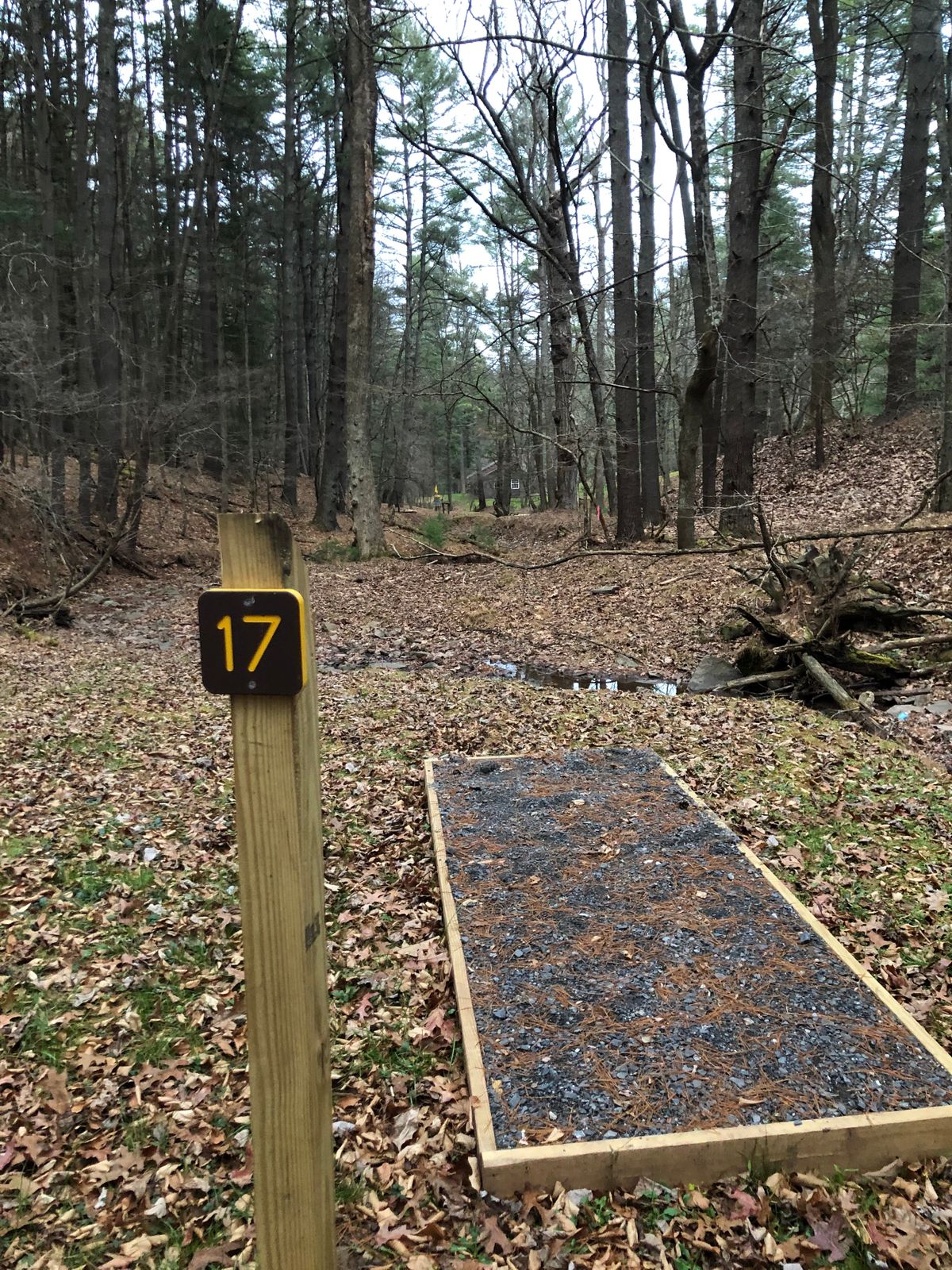 Tee Box 17 - straight flat drive along creek bed