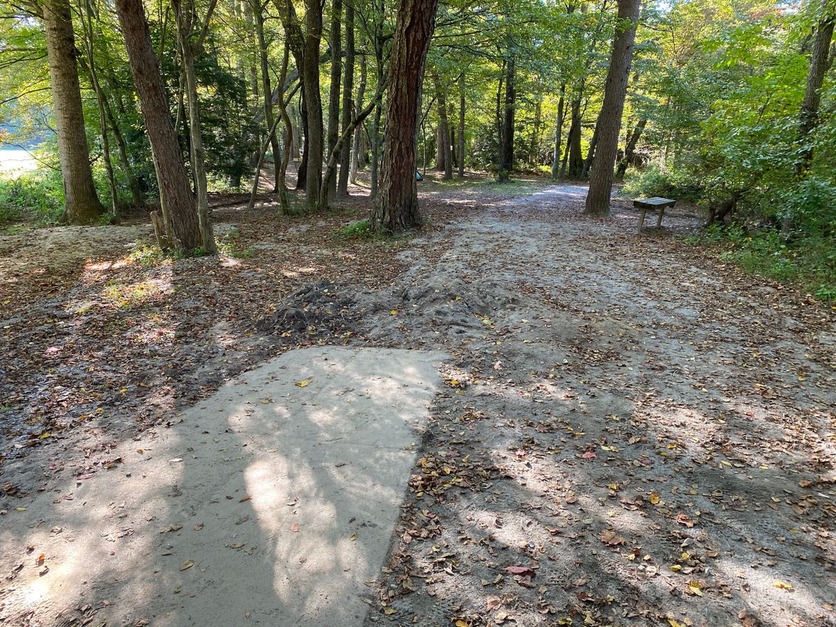 New (as of 9/28) hole 4. Basket dead ahead in the bushes.