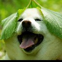 User avatar image