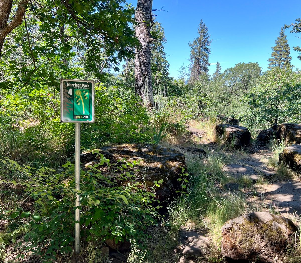 Hole 4 view from tee pad