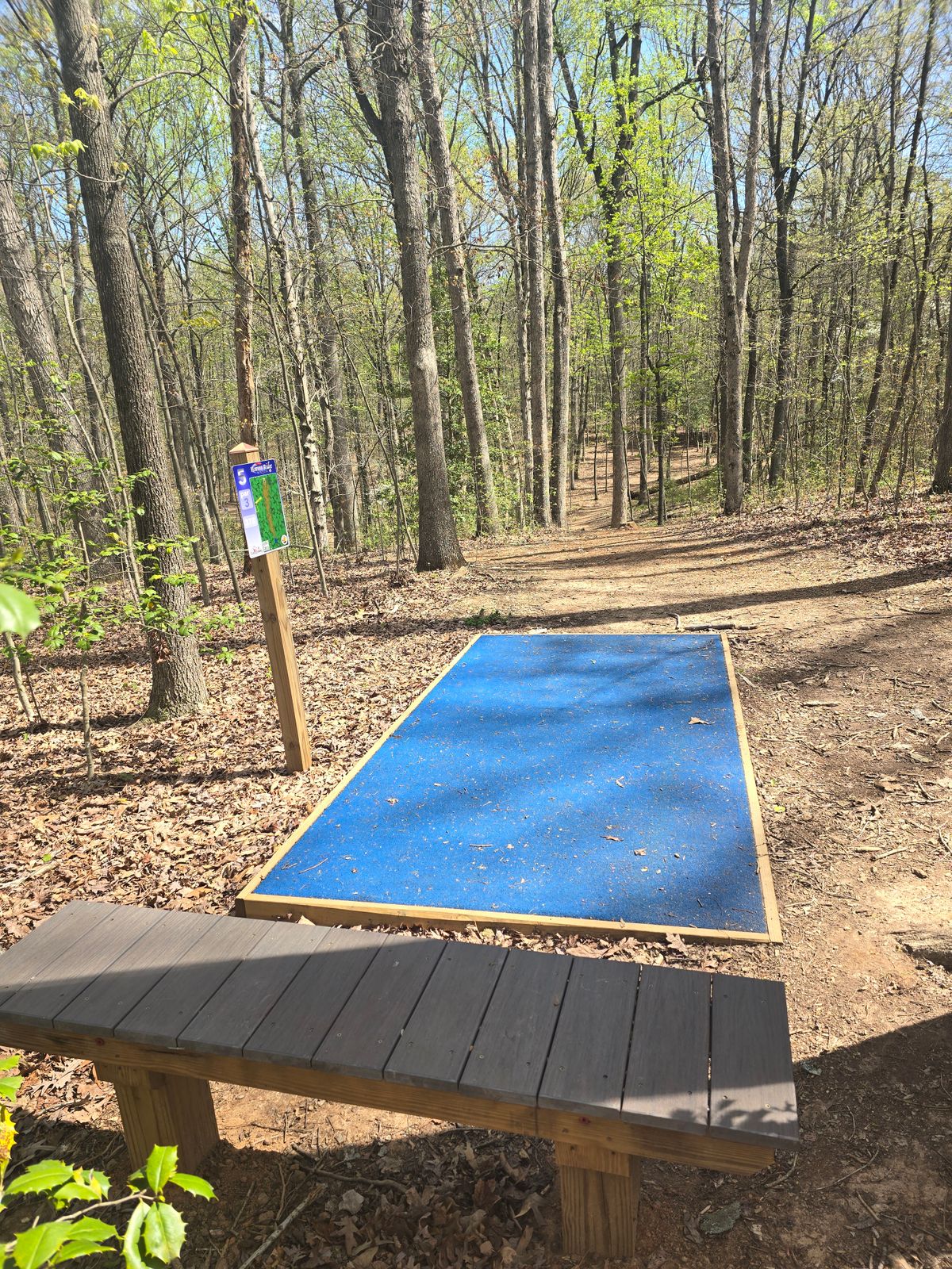 Hole 5 Tee