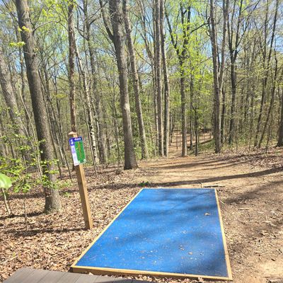 Hole 5 Tee