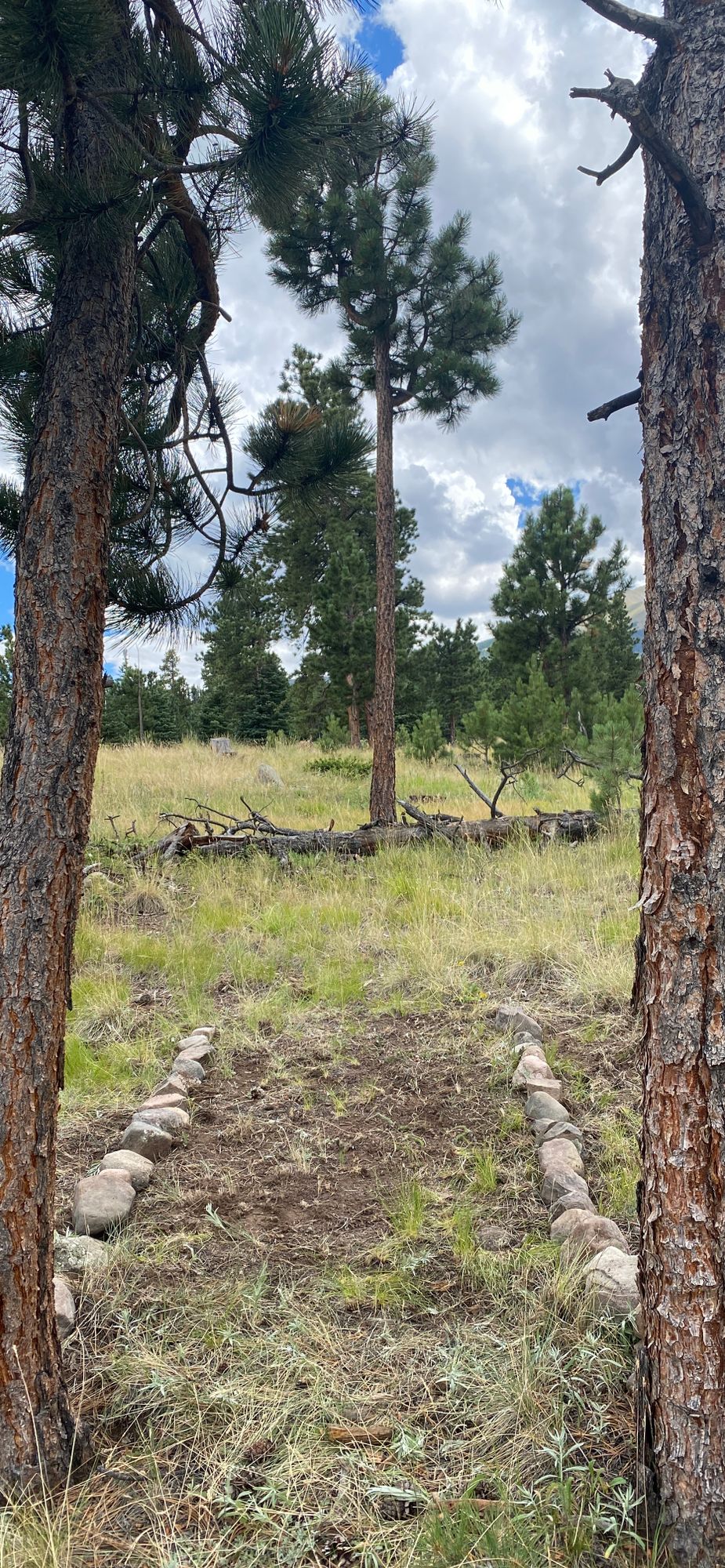 Updated tee pad for Hole 5!