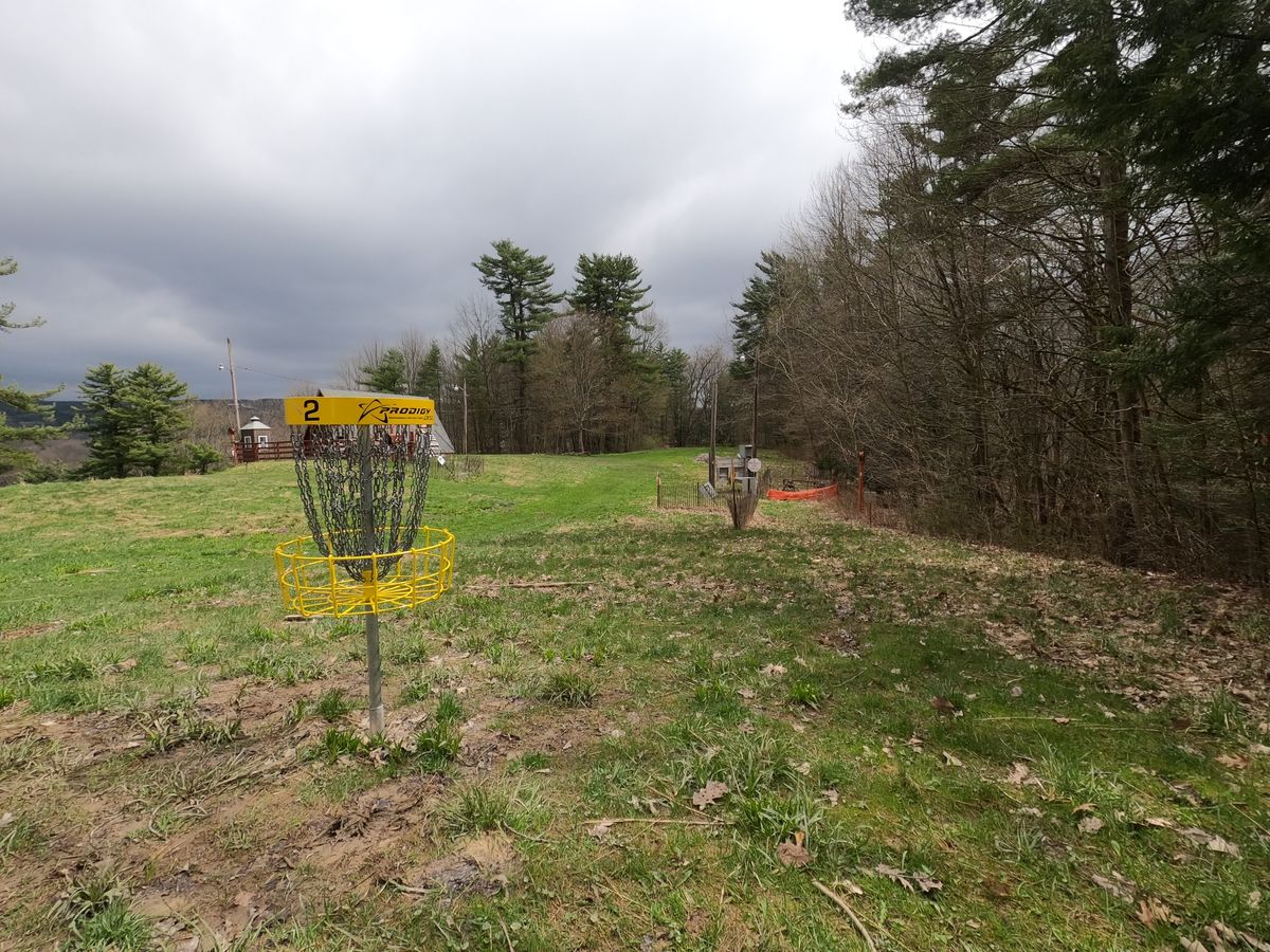 Hole #2 Basket