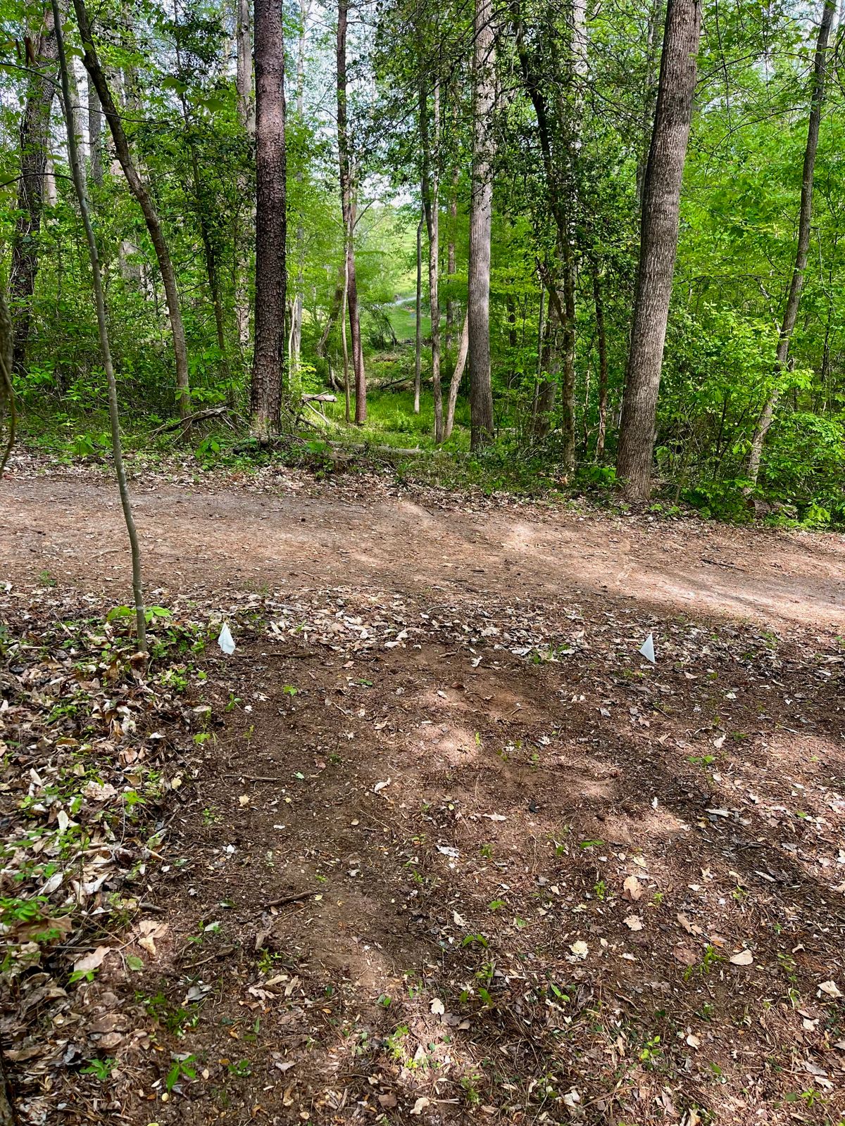 Hole 9 White