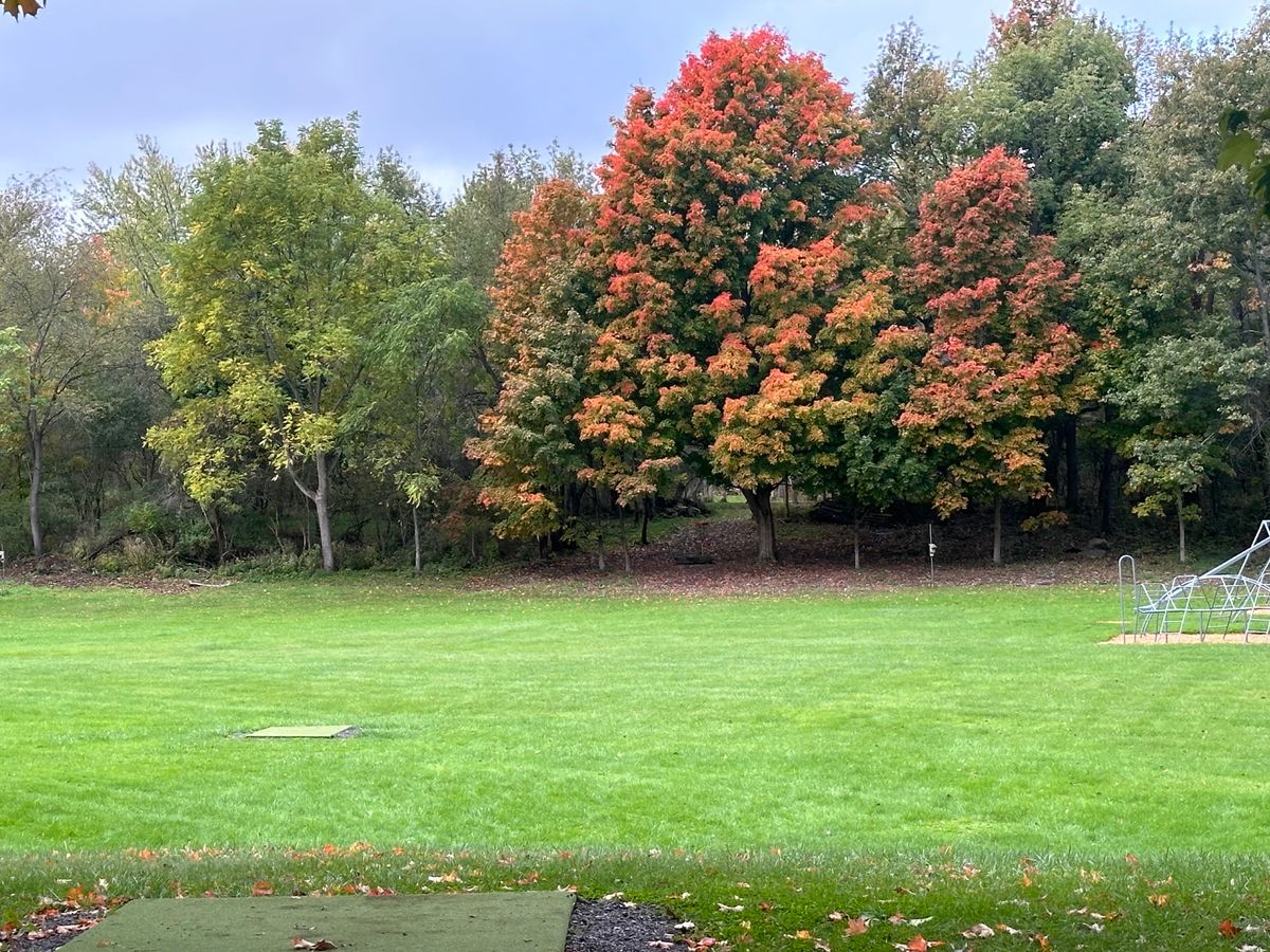 Hole 1 Long tees.
