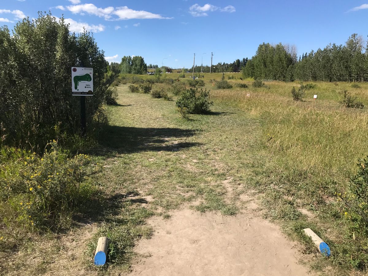 Hole 6 tee box
