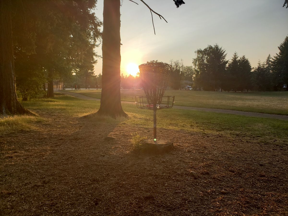 Hole #9 basket looking West.