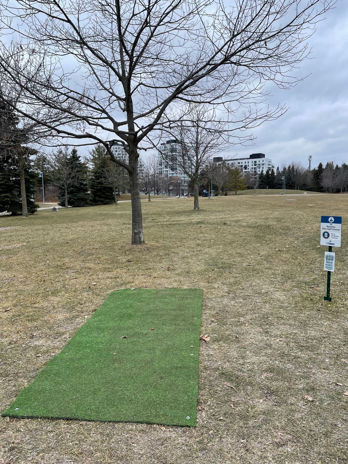 Hole 8 tee