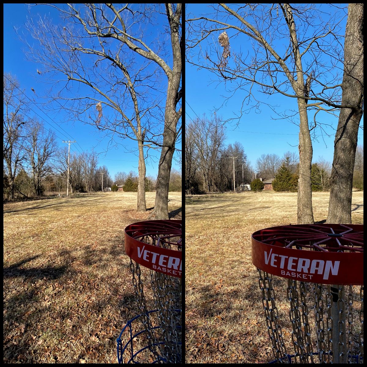 #16 green