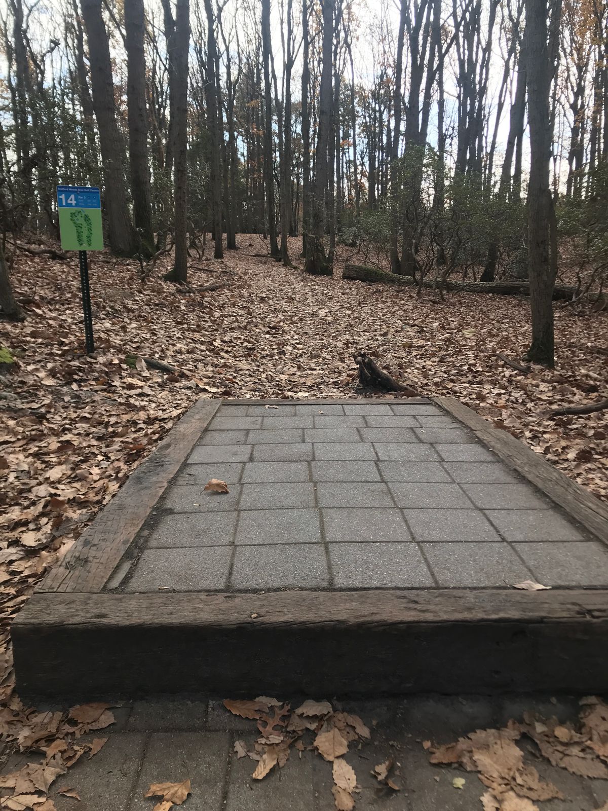 Hole 14 long tee