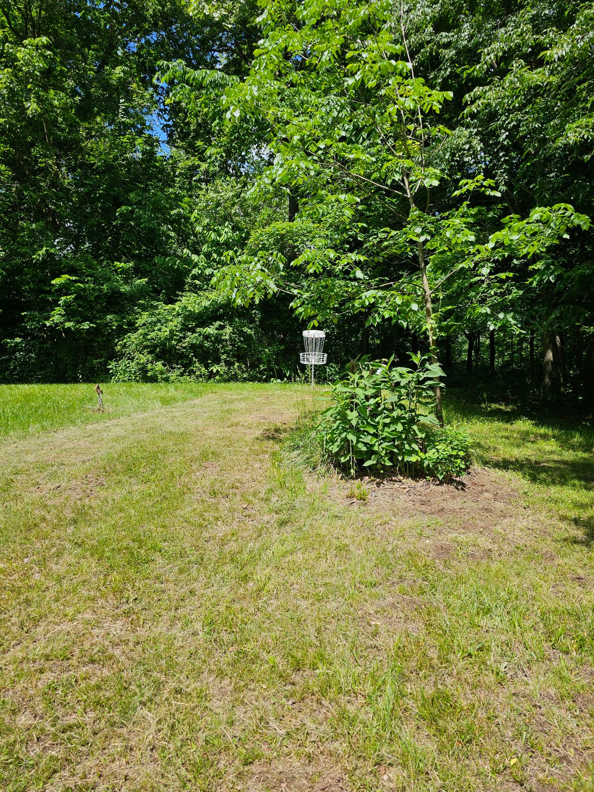 Hole 13 basket