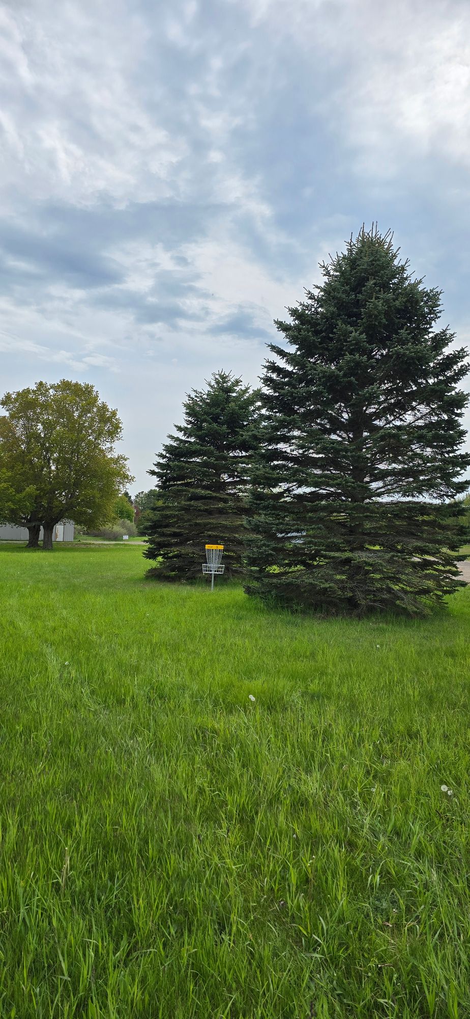 Hole 7 Basket