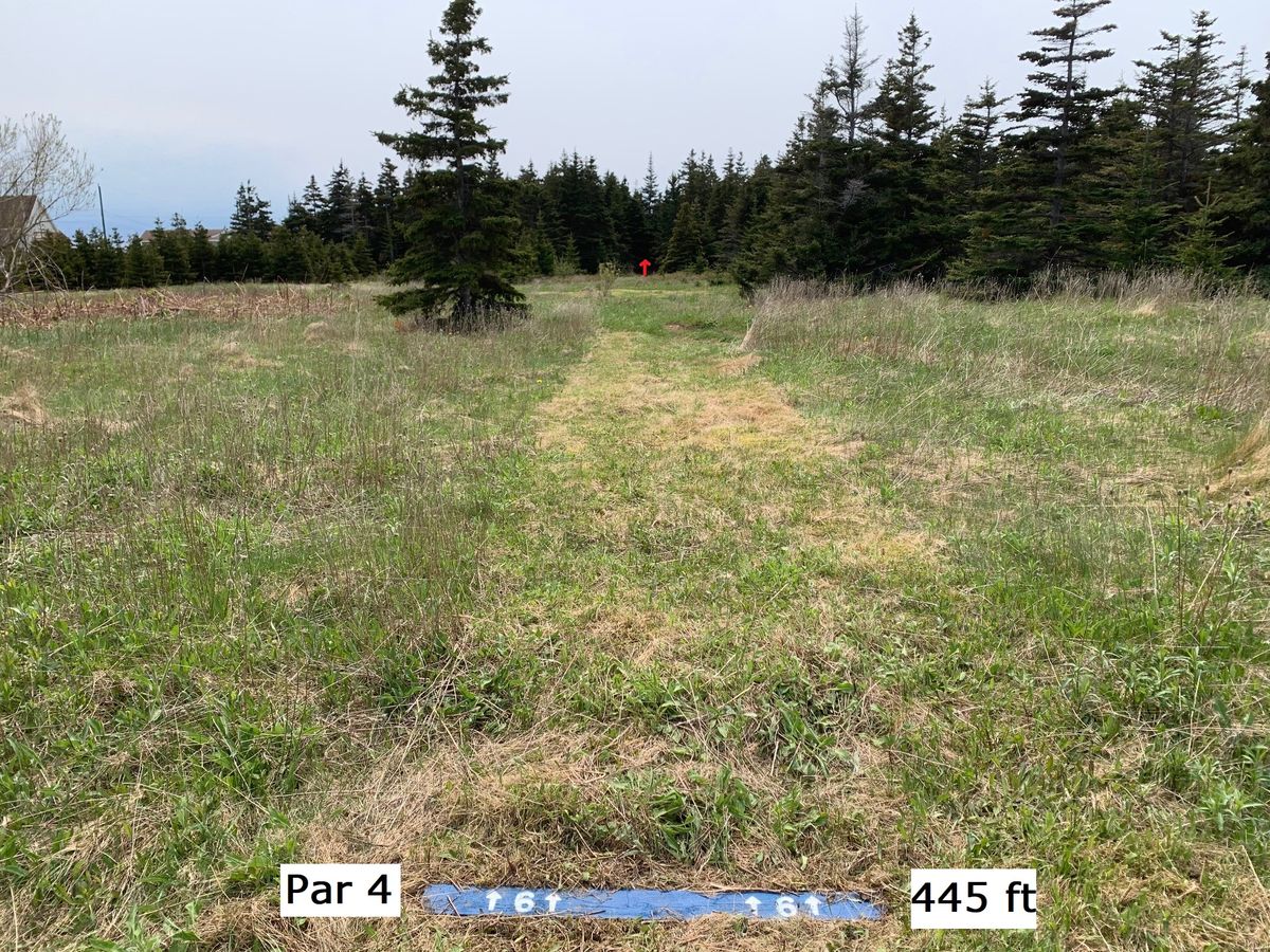 Hole 6
Par 4 - 445'