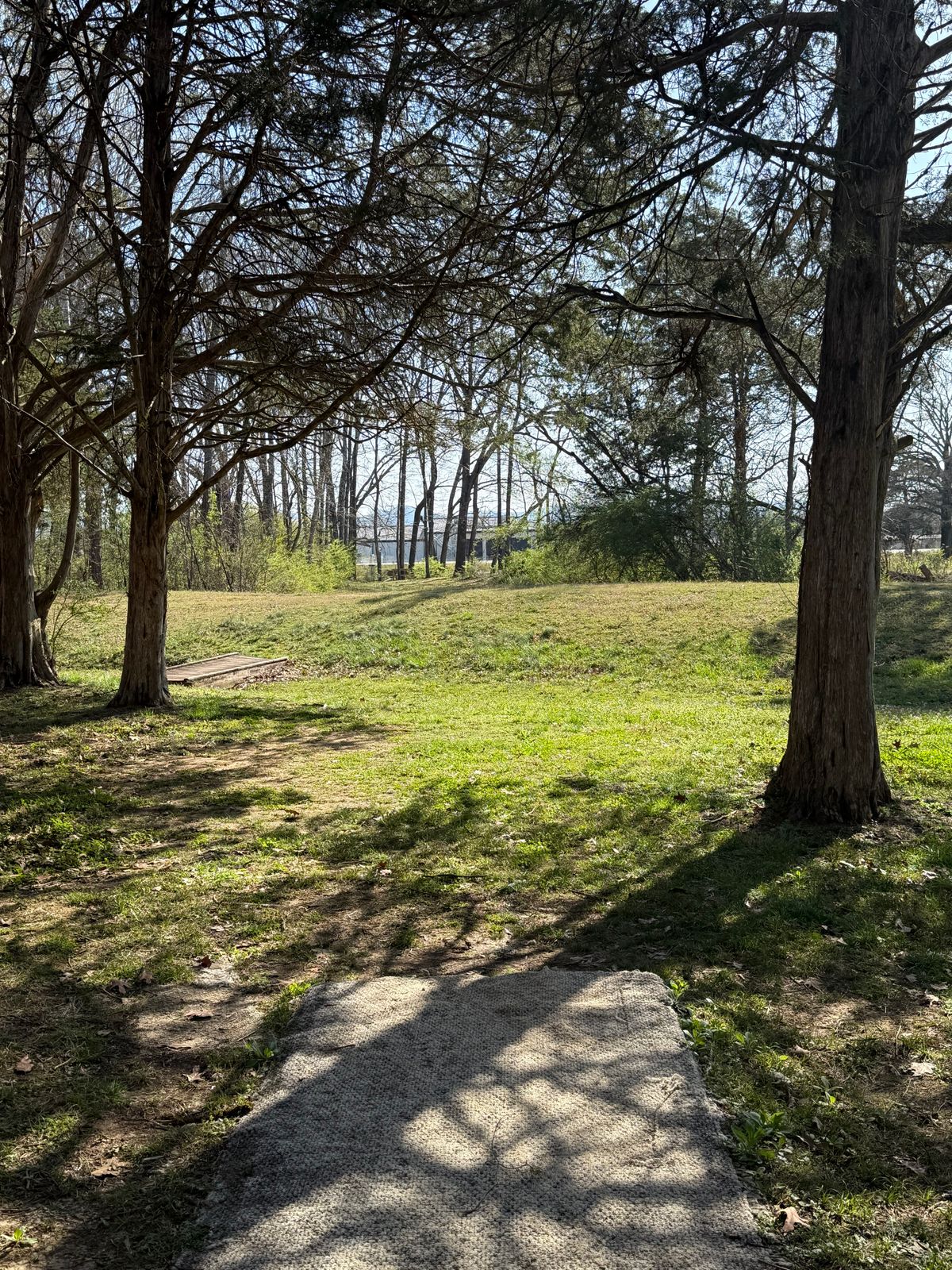 Hole 14 Tee box view
