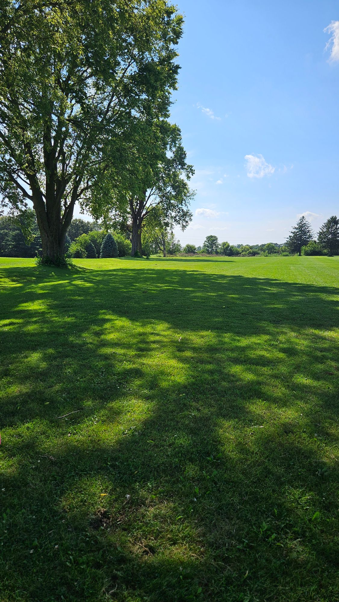 Hole 2 Tee