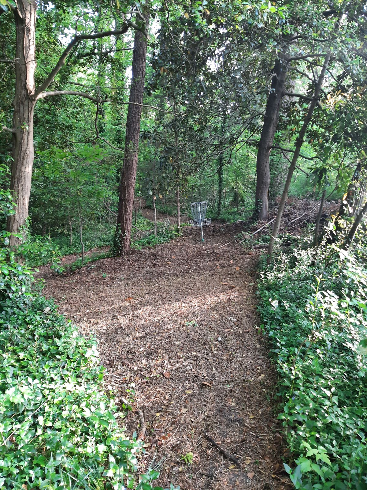 Hole 19 Green B Pin