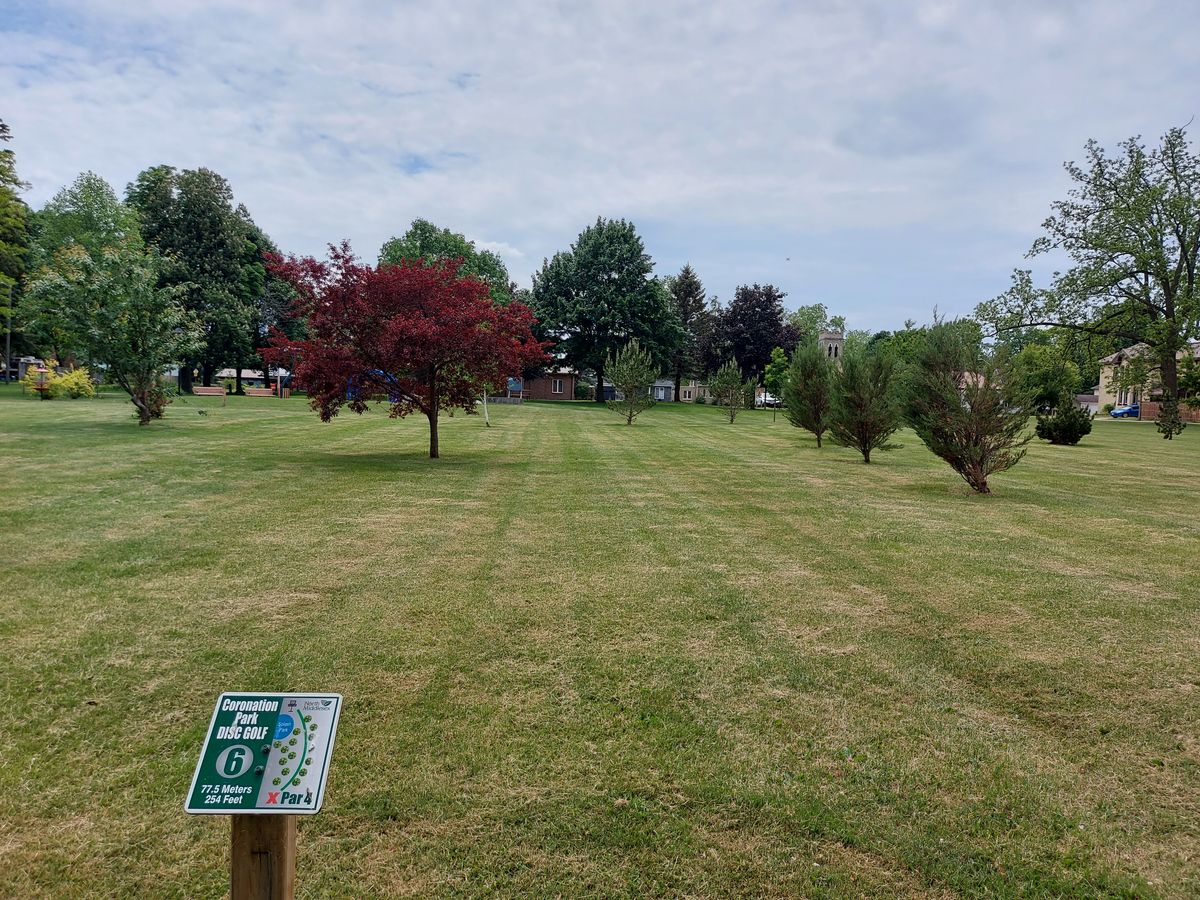 Tee pad 6