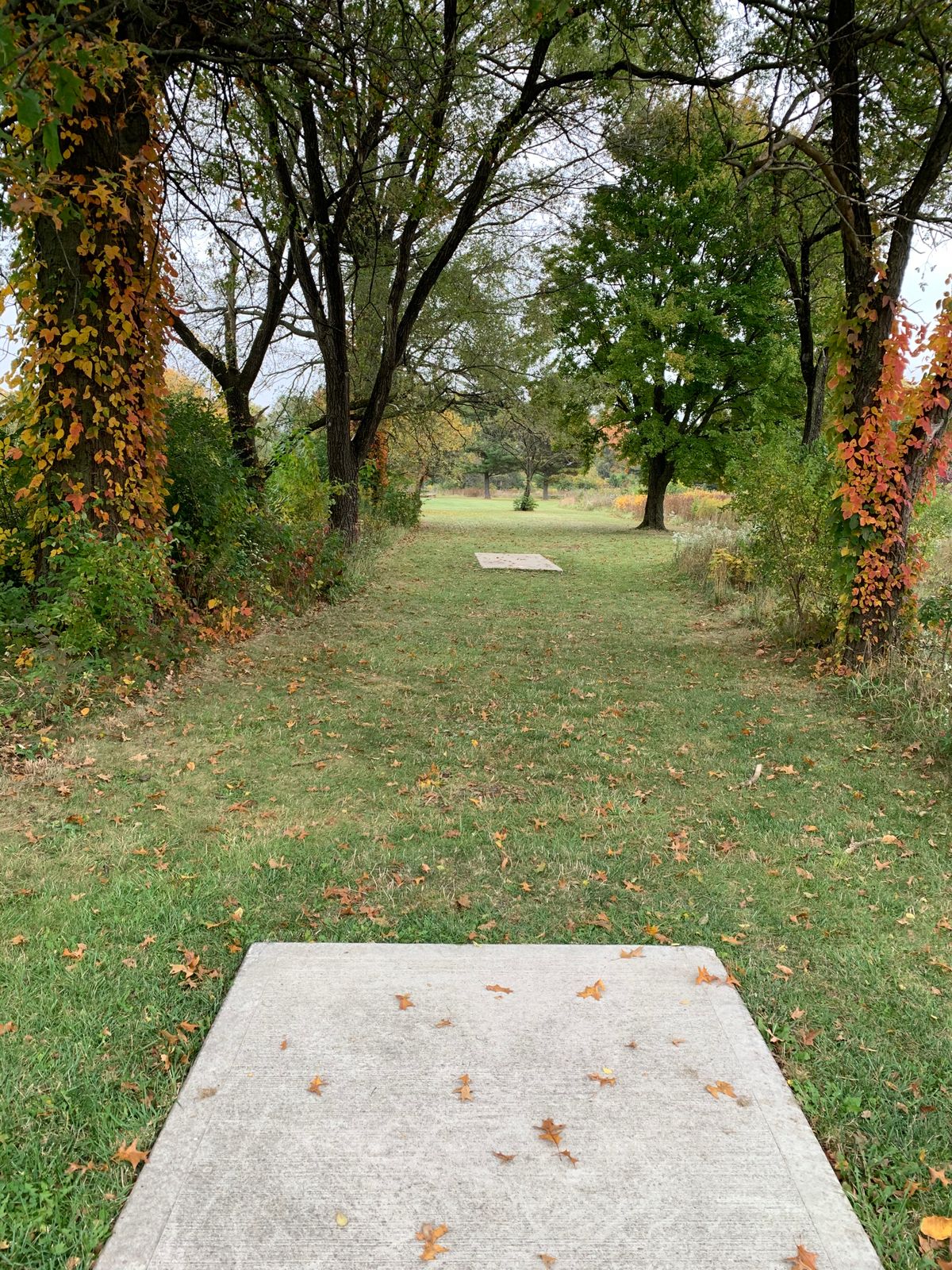 Hole 7 Blue Tee