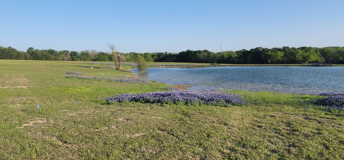 hole 1's tee (left) and basked (far left up by tree line).