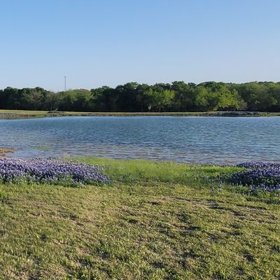 hole 1's tee (left) and basked (far left up by tree line).