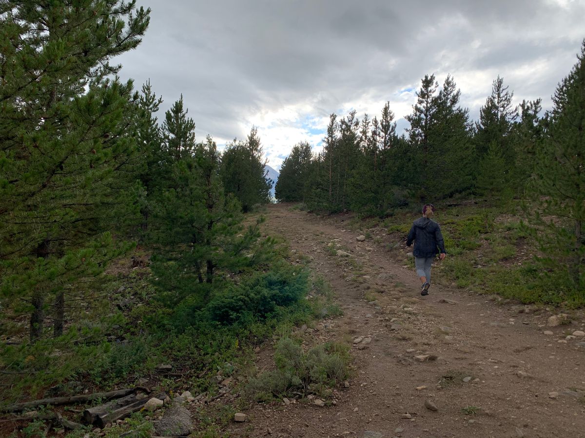 3rd - Basket left of the road.