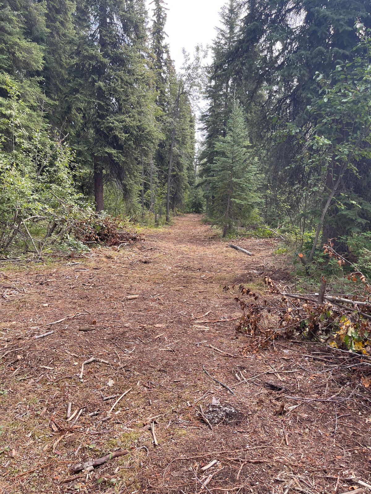 Hole 7 fairway
